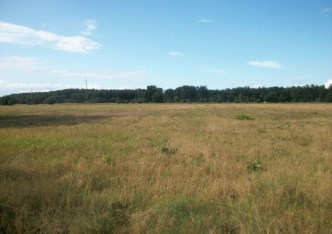 działka na sprzedaż - Stargard (gw), Smogolice