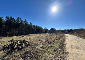 działka na sprzedaż - Gryfino