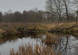 działka na sprzedaż - Widuchowa, Dębogóra