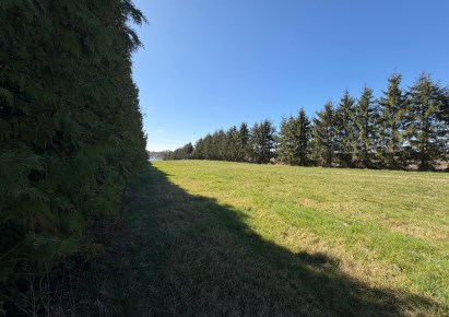 działka na sprzedaż - Stare Czarnowo, Binowo