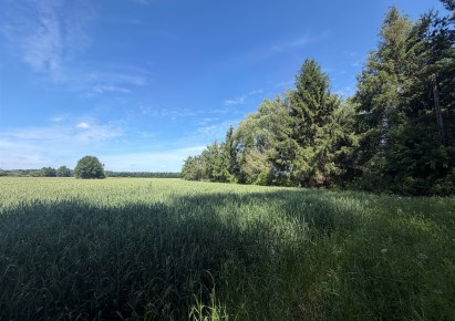 działka na sprzedaż - Kobylanka, Niedźwiedź