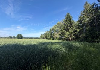 działka na sprzedaż - Kobylanka, Niedźwiedź